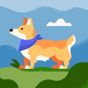 Meet your Posher, Bailey